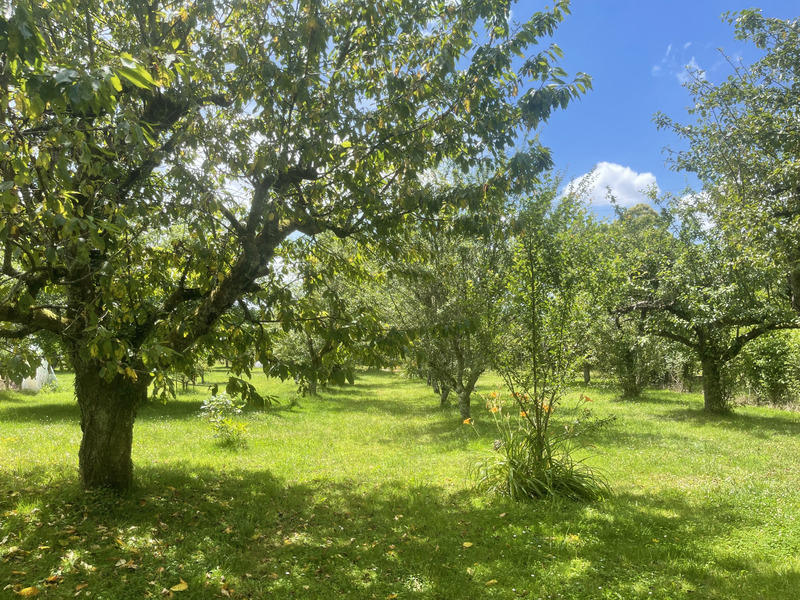 Maison - 124 m² - 7 pièces