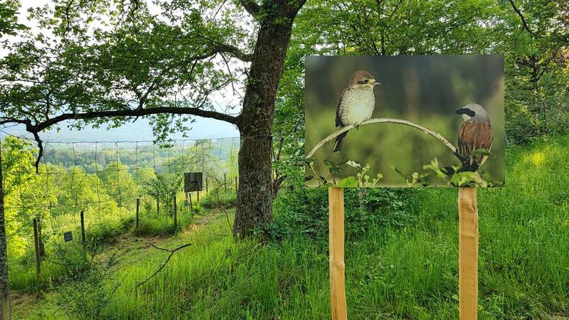 Exposition photos grands formats : biodiversité à ciel ouvert