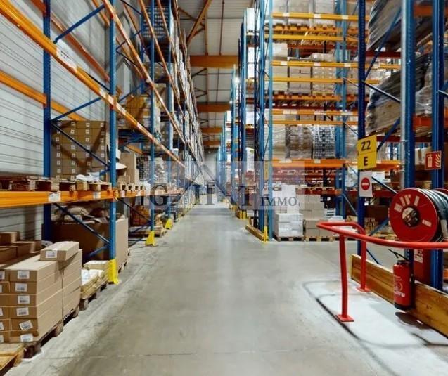 Entrepôt - 9 000 m²