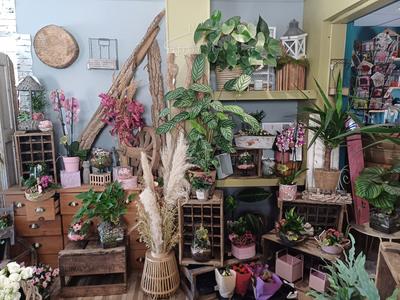 Fonds de commerce - 40 m²