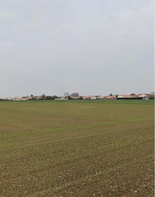 Terrain constructible - 103 753 m²
