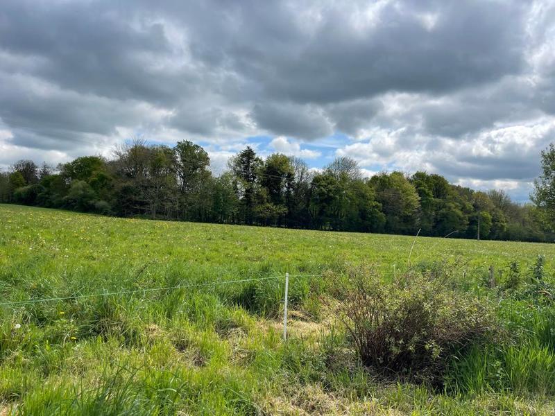 Maison de domaine équestre - 140 m² - 6 pièces