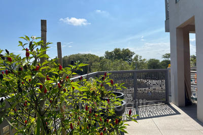 Appartement - 71 m² - 4 pièces