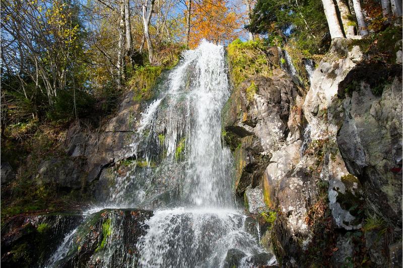 Balade nature - la cascade du Hohwald