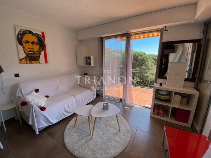 Studio - 24 m² - 1 pièce