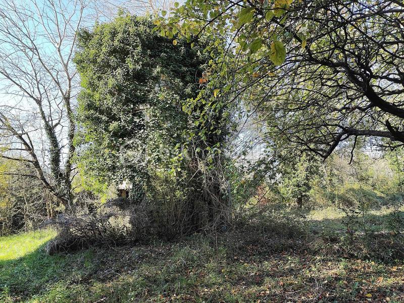 Maison - 325 m² - 11 pièces