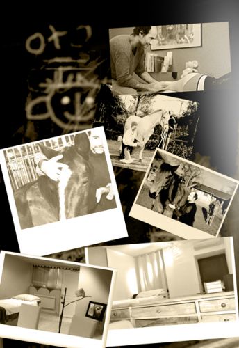 ostéopathe D.O, humain, équin, canin.