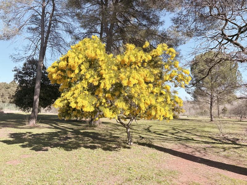 Bastide - 220 m² - 7 pièces