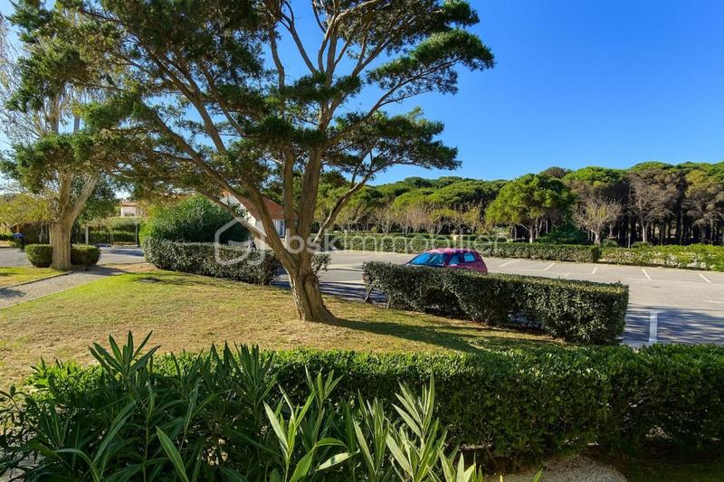 Appartement - 50 m² - 3 pièces