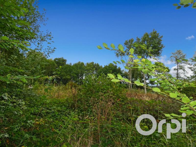 Terrain constructible - 2 207 m²