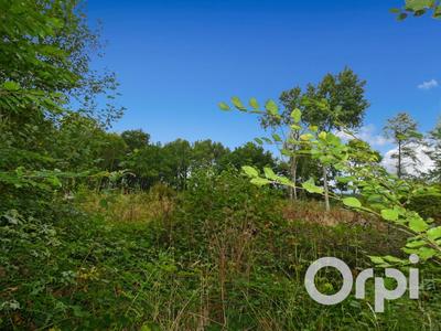 Terrain constructible - 2 207 m²