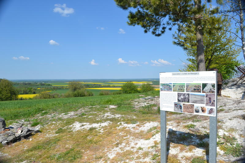 Visite libre du site de la Main de Massiges