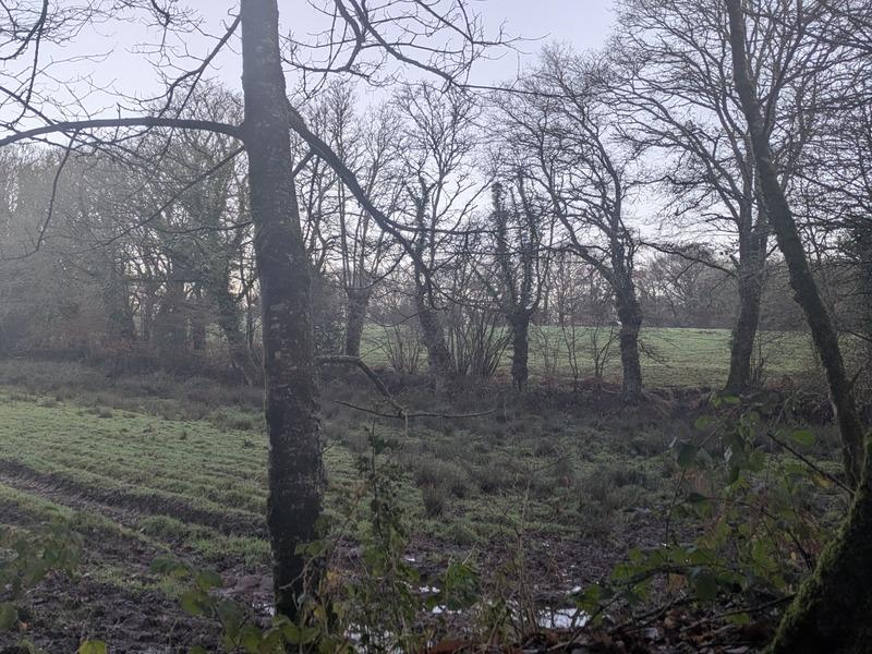 Propriété - 150 m² - 8 pièces