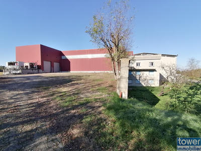 Local d'activités - 2 925 m²