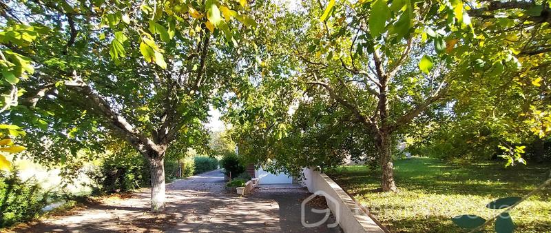 Maison traditionnelle - 187 m² - 7 pièces