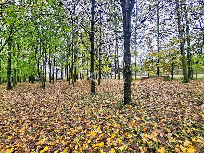 Maison - 170 m² - 10 pièces