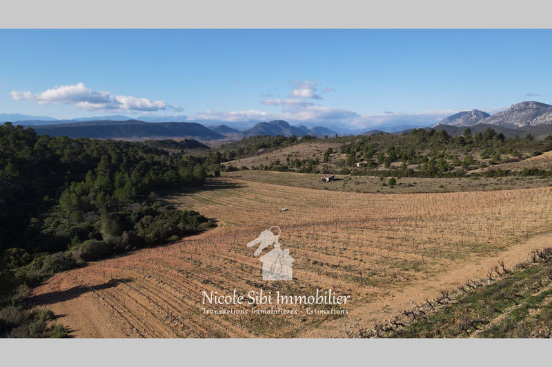 Terrain agricole - 41 295 m²