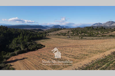 Terrain agricole - 41 295 m²