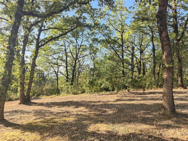 Terrain constructible - 2 000 m²