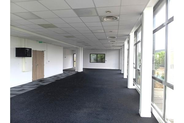 Bureau - 146 m²