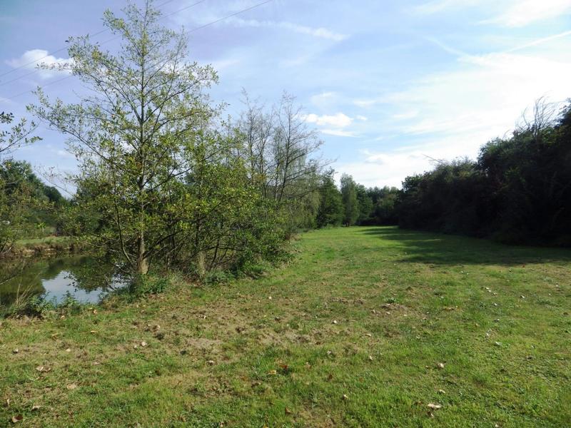 Terrain - 12 496 m²