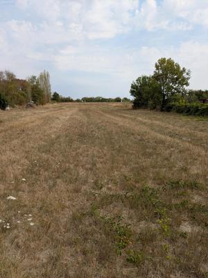 Terrain - 2 604 m²
