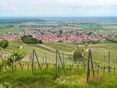 Alsace Rocks ! La Tournée des Terroirs - Etape #7