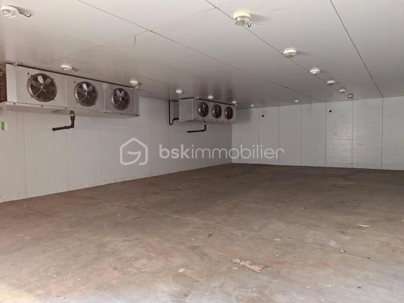 Local d'activité / Entrepôt - 320 m² - 3 pièces