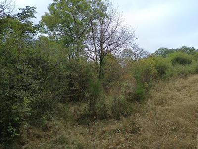 Terrain agricole - 33 821 m²