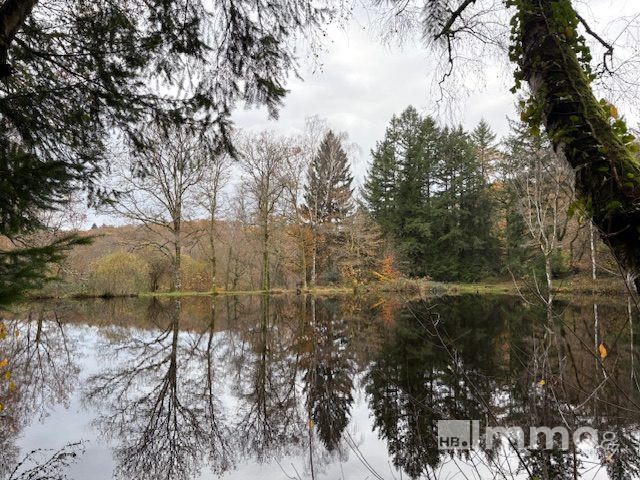 Terrain de loisirs - 34 693 m²