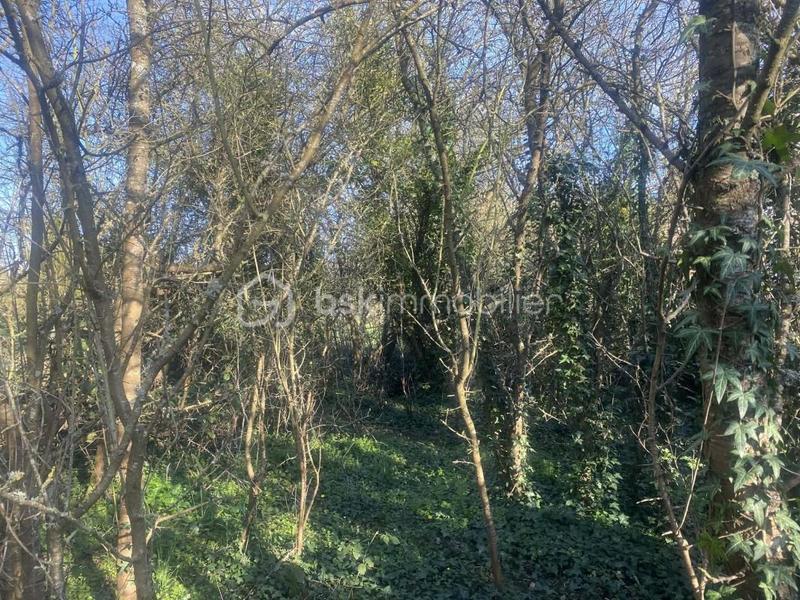 Maison ancienne - 97 m² - 4 pièces