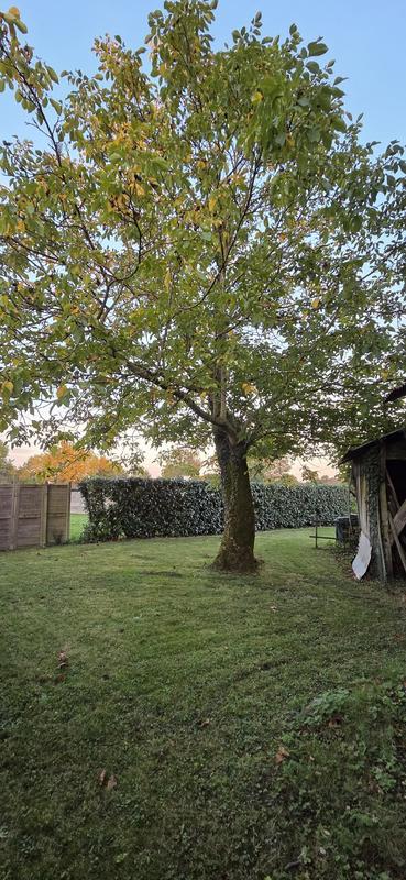 Maison ancienne - 108 m² - 4 pièces