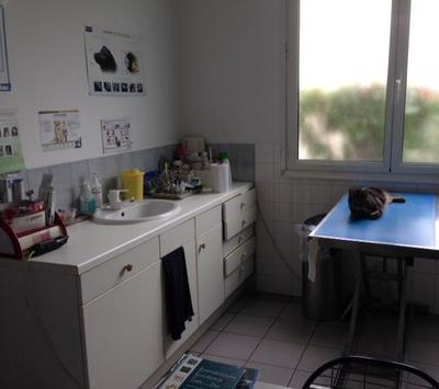 Clinique Vétérinaire Kessel - Dr Hebras