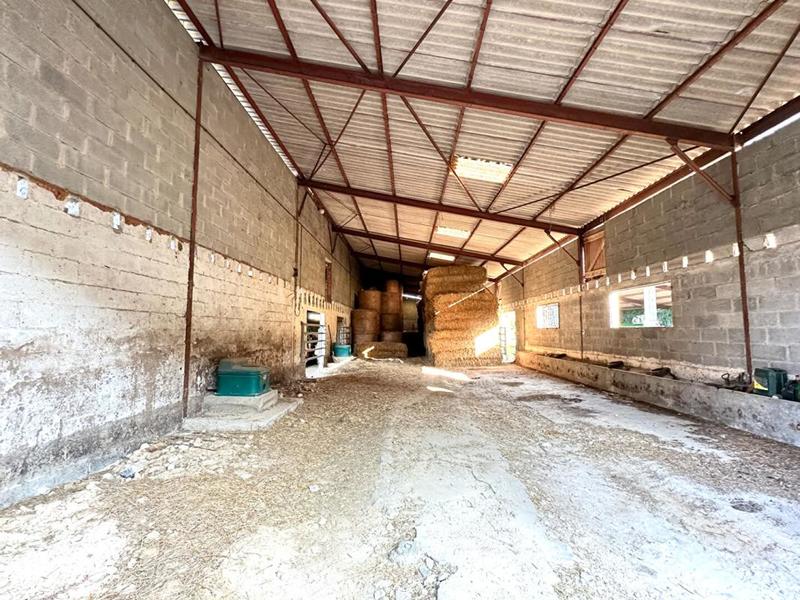 Corps de ferme - 1 600 m² - 1 pièce