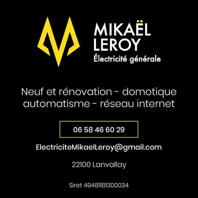 Mikaël Leroy électricité