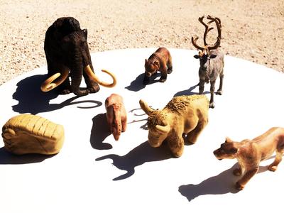 Atelier Animaux d'Argile