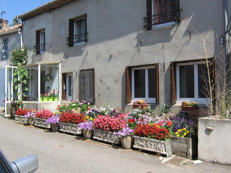Viager - Maison de village - 120 m²