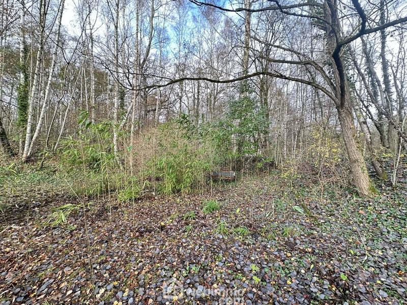 Terrain - 10 450 m²