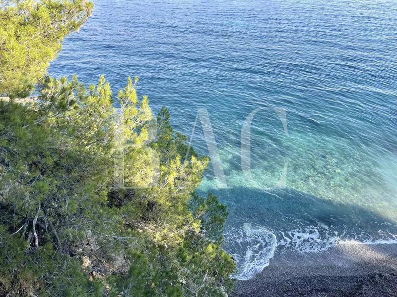 Propriété - 3 500 m² - 30 pièces