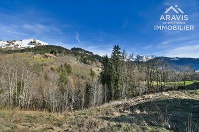 Terrain - 773 m²