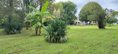 Maison ancienne - 185 m² - 6 pièces