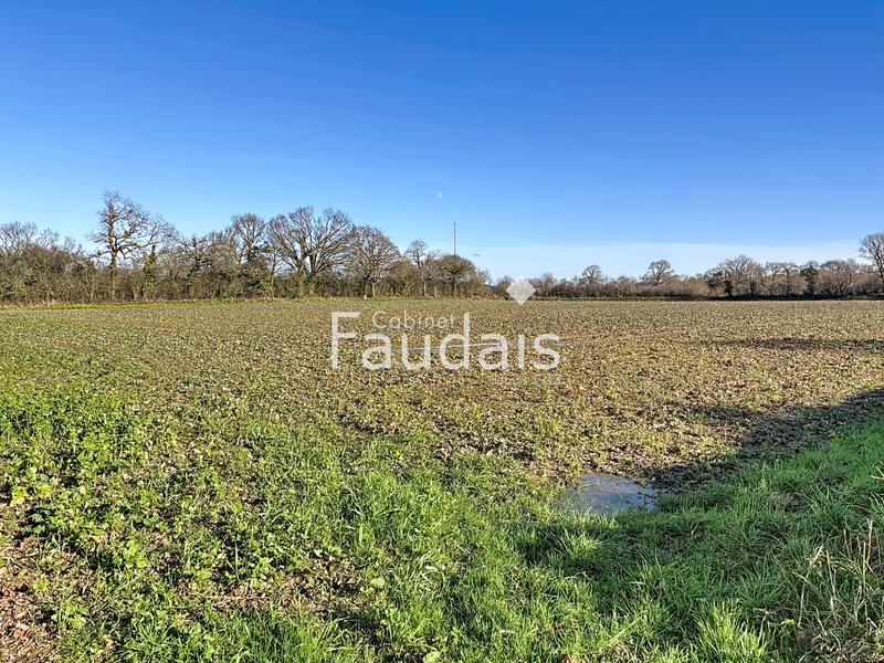 Terrain agricole - 17 929 m²