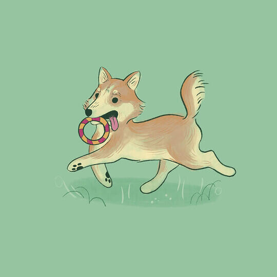 Atelier - la faune des villes