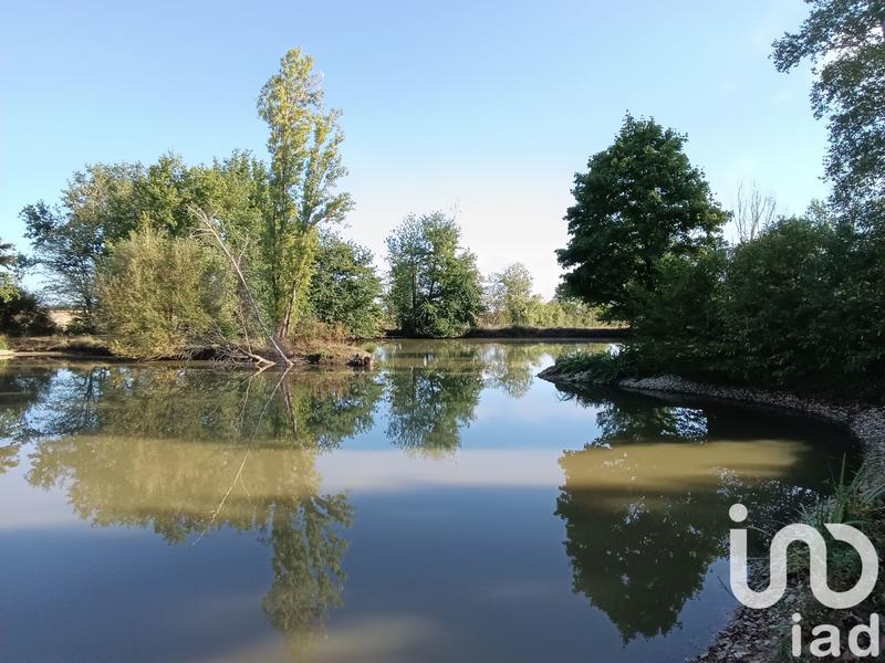 Terrain - 30 533 m²