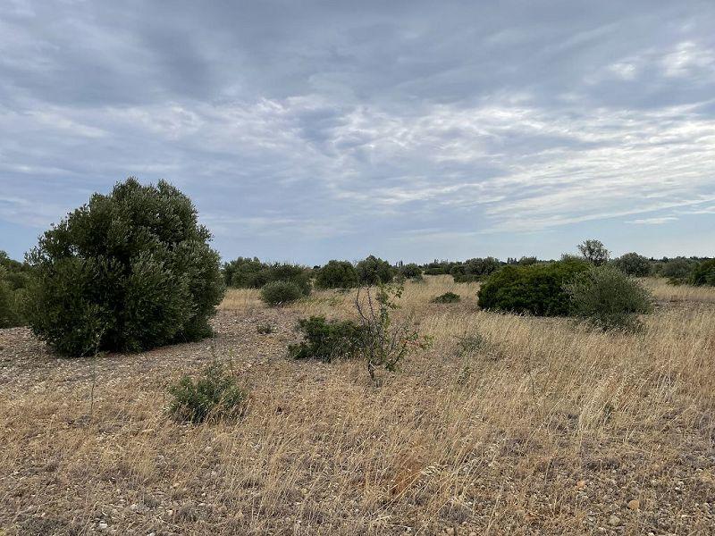 Terrain - 21 115 m²