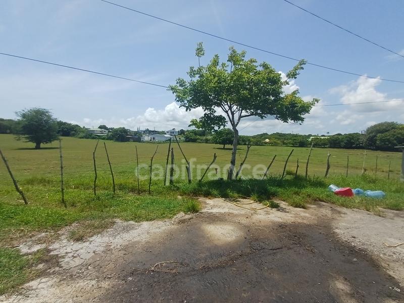 Terrain constructible - 1 000 m²