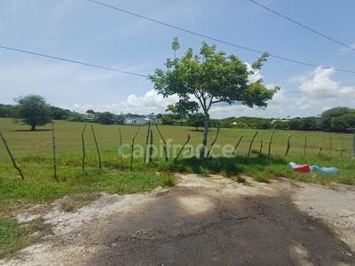 Terrain constructible - 1 000 m²