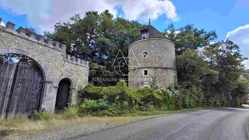 Château - 2 500 m² - 30 pièces