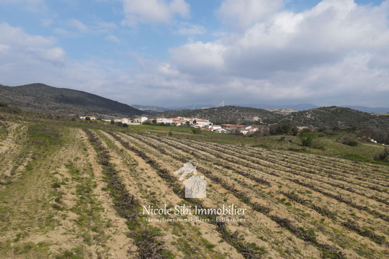 Terrain agricole - 11 155 m²