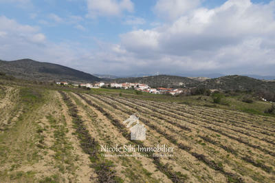 Terrain agricole - 11 155 m²